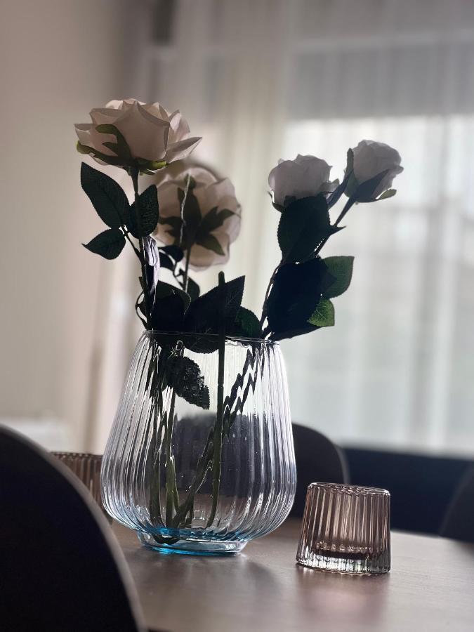 Alma Rose Apartment Korce Eksteriør billede