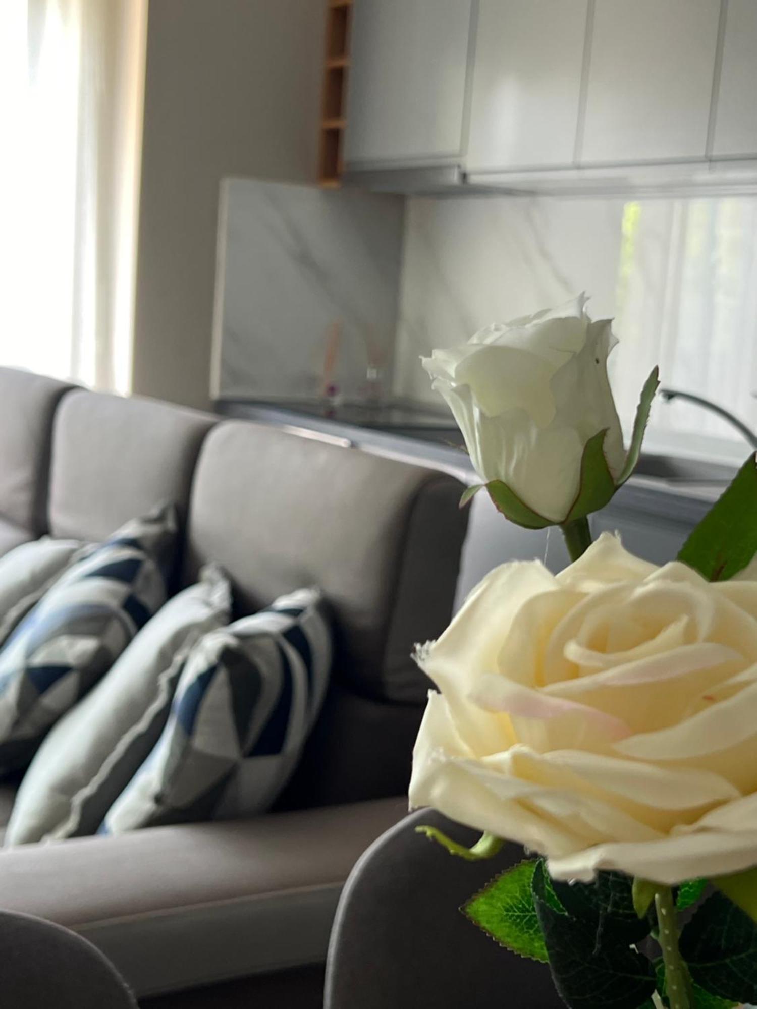 Alma Rose Apartment Korce Eksteriør billede